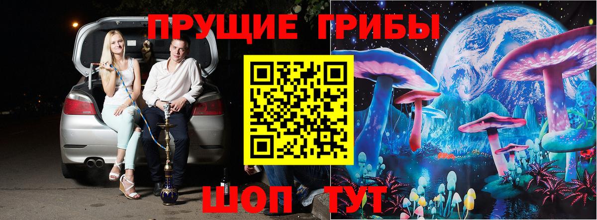 Псилоцибиновые грибы прущие грибы  Псилоцибиновые грибы прущие грибы  Гулькевичи  где можно купить   Вход с VPN 