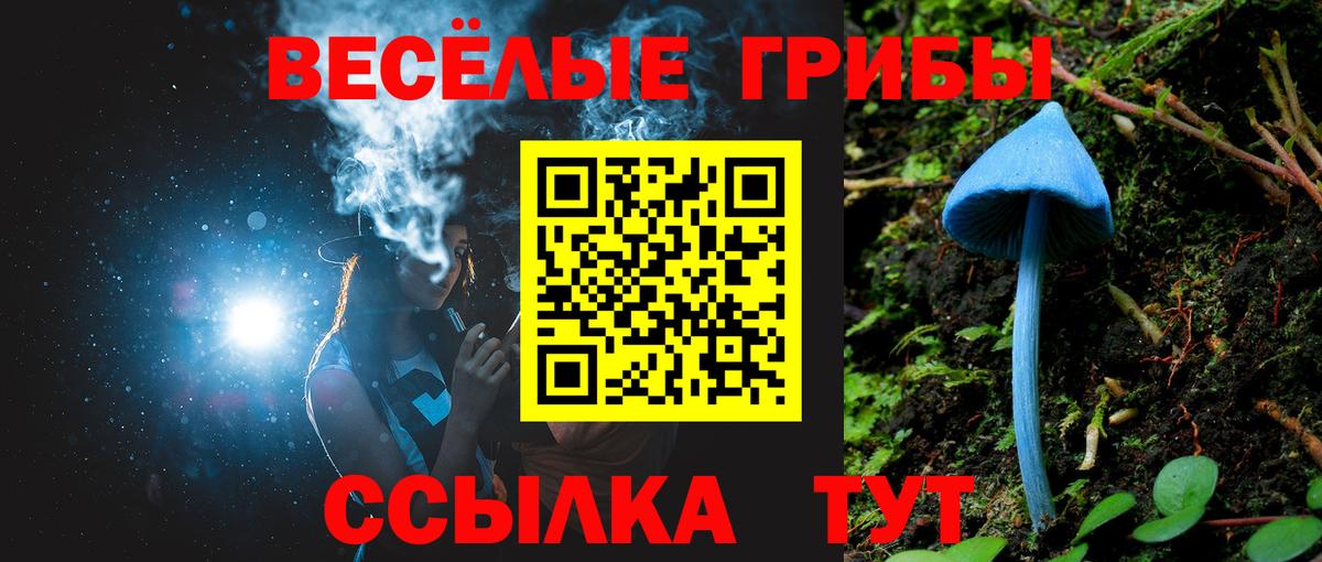Галлюциногенные грибы GOLDEN TEACHER Гулькевичи